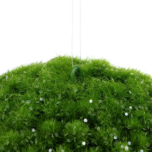 Floristik24 Moss ball green with mica Ø15cm