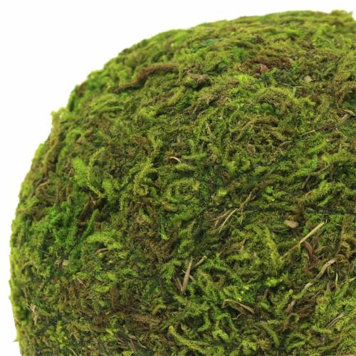 Floristik24 Moss ball Ø9cm 6pcs