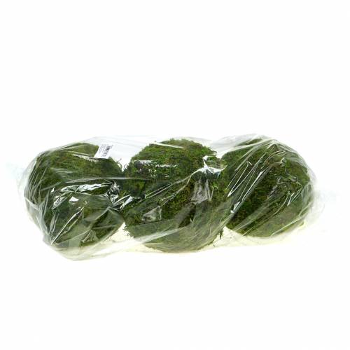 Floristik24 Moss ball Ø15cm 3pcs