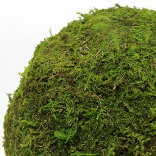 Floristik24 Moss ball Ø15cm 3pcs