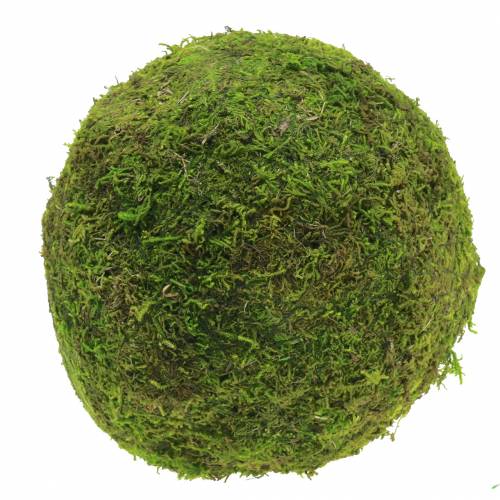 Floristik24 Moss ball Ø15cm 3pcs