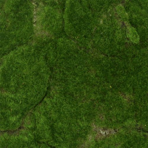 Floristik24 Moss Mat Green 35cm x 35cm