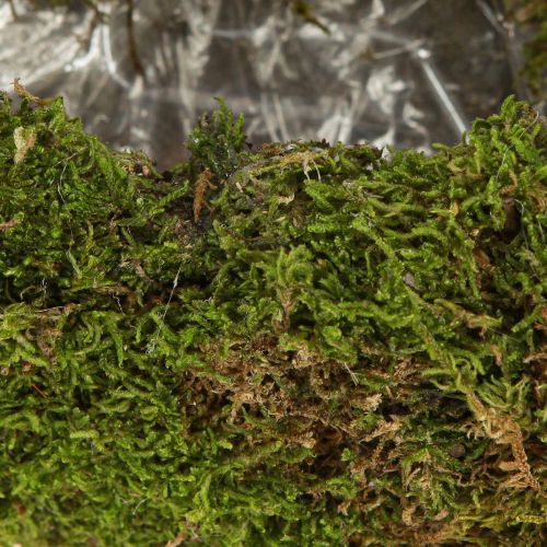 Product Moss decorative planter, crescent shape with metal base, natural decoration for living space &amp; celebrations, 40×15×30cm