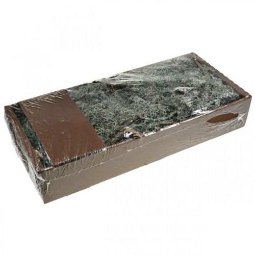 Product Deco twigs oak moss moss deco lichen natural decoration 750g