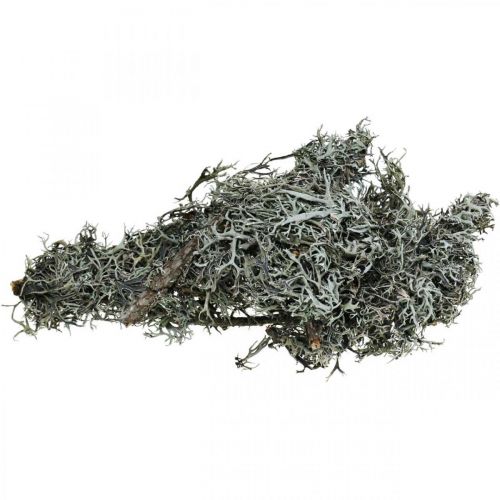 Product Deco twigs oak moss moss deco lichen natural decoration 750g