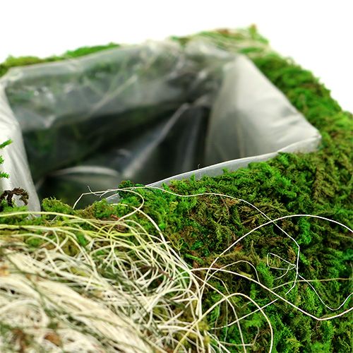 Floristik24 Moss cushion rhombus 34cm x 19cm 2pcs