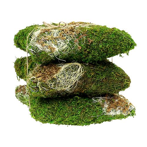 Floristik24 Moss cushion for planting 20cm x 20cm 3pcs
