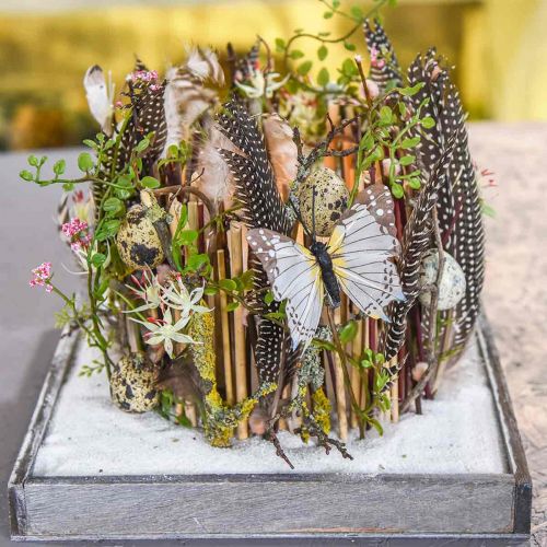 Floristik24 Mühlenbeckia Bush Green 42cm