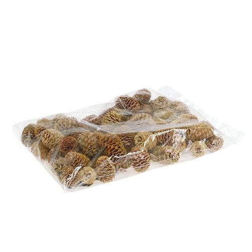 Product Sabulosum cone cream 500g