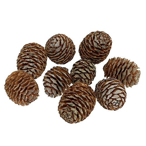 Murii Cones Natural 500g
