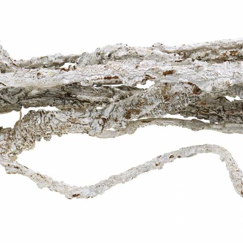 Floristik24 Cork oak twigs Muruku twigs white 100cm 10p