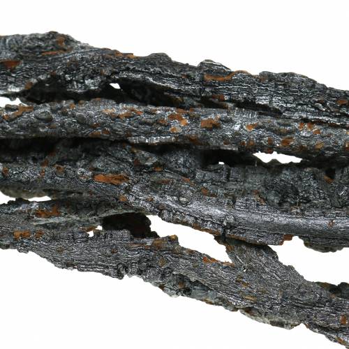 Cork oak branches Muruku branches black 100cm 10 pcs