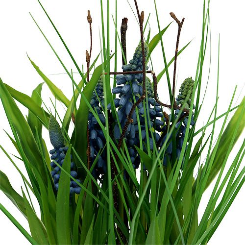 Floristik24 Muscari in blue pot H 30cm