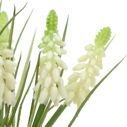 Product Grape Hyacinths in Bunch White 30cm 15 pcs