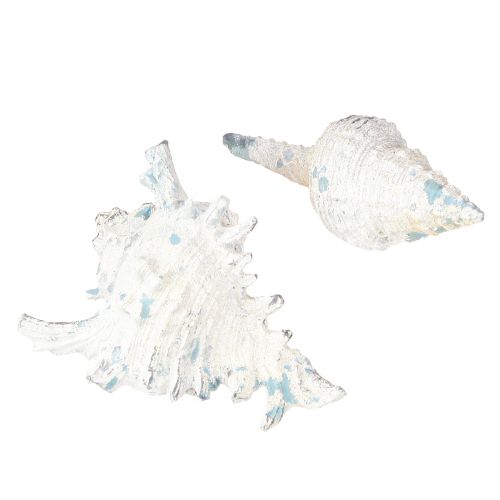 Product Shell Decoration Sea Snail Artificial Blue-White 11.5/13cm 2 Pcs