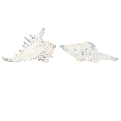 Product Shell Decoration Sea Snail Artificial Blue-White 11.5/13cm 2 Pcs