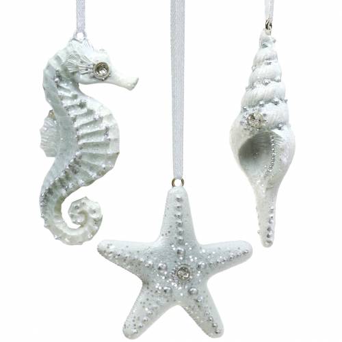 Floristik24 Shell / starfish / seahorse to hang 3pcs