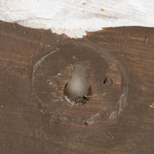 Product Decorative snail-shaped container for maritime and natural wall design, grey, 21cm