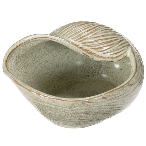 Floristik24 Ceramic bowl with seashell design for elegant decoration in the living room, 23cm