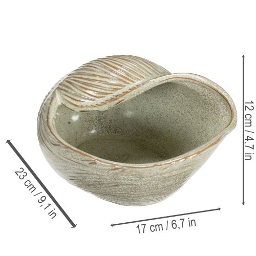 Product Ceramic bowl with seashell design for elegant decoration in the living room, 23cm