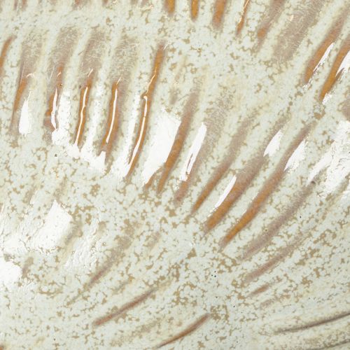 Product Ceramic bowl with seashell design for elegant decoration in the living room, 23cm