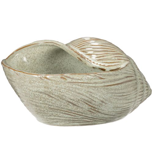 Product Ceramic bowl with seashell design for elegant decoration in the living room, 23cm