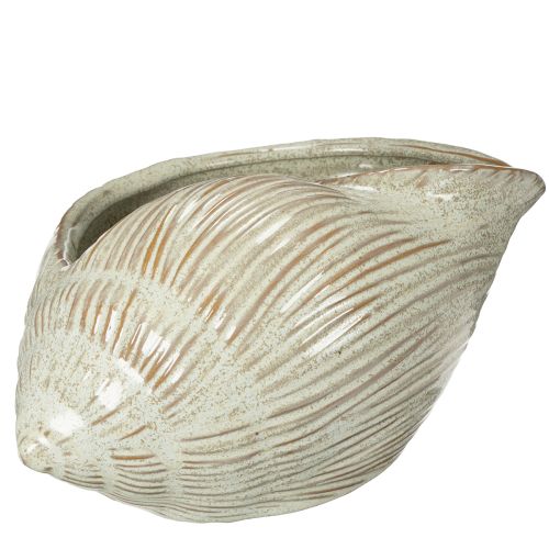 Product Ceramic bowl with seashell design for elegant decoration in the living room, 23cm