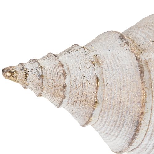 Product Decorative seashell shape for stylish maritime decoration, 44cm