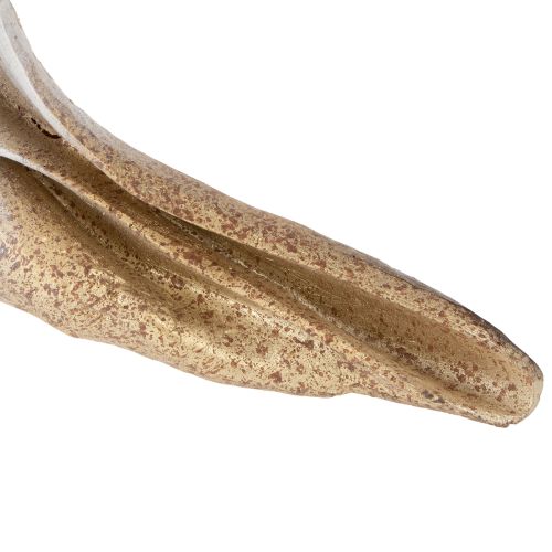 Product Decorative seashell shape for stylish maritime decoration, 44cm