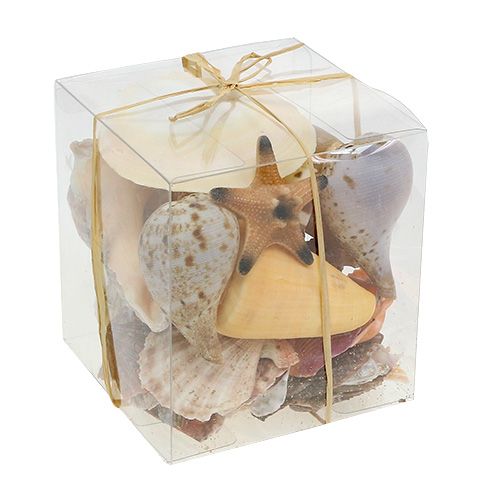 Floristik24 Mussel mix in a box natural 380g