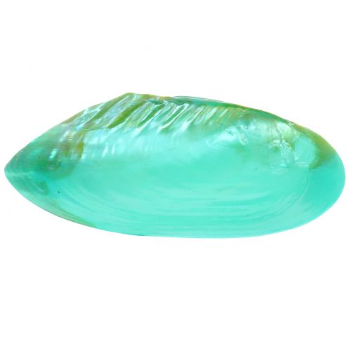 Shell for decoration green 18cm