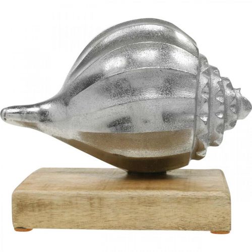 Product Shell made of metal, maritime decoration to place silver, natural colors H15cm W18.5cm