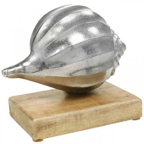 Floristik24 Shell made of metal, maritime decoration to place silver, natural colors H15cm W18.5cm