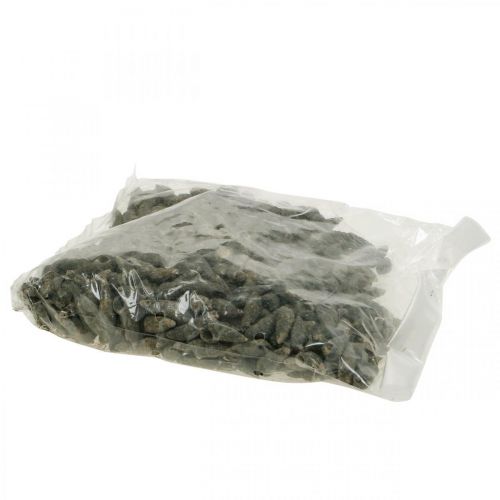 Floristik24 Natural sea snail shells Marine decor Black 6-10mm 1kg