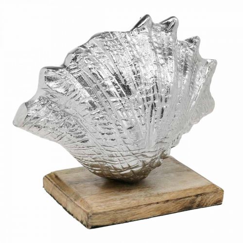 Floristik24 Shell to set up, maritime metal decoration with wooden base silver, natural 16 × 19cm