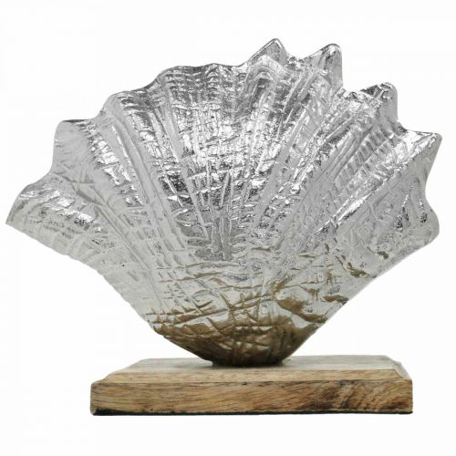Product Shell to set up, maritime metal decoration with wooden base silver, natural 16 × 19cm