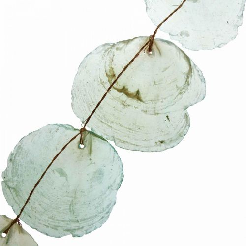 Floristik24 Shell Deco Capiz Garland Shell Garland Green 100cm