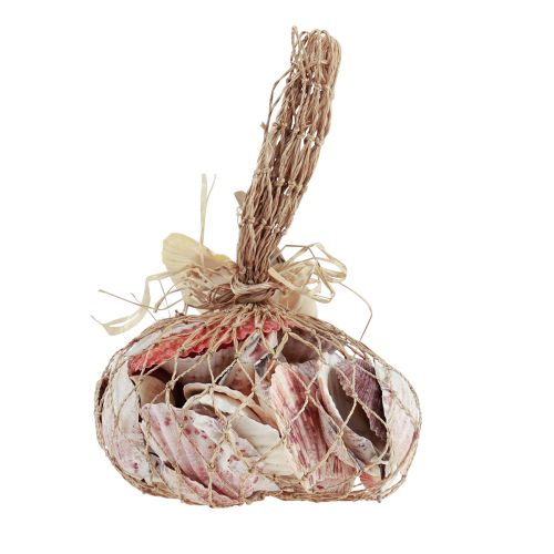 Product Shell decoration real shells different types 300g