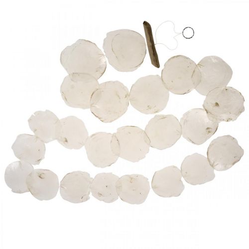 Floristik24 Shell Garland Mother of Pearl Shell Garland Capiz 195cm