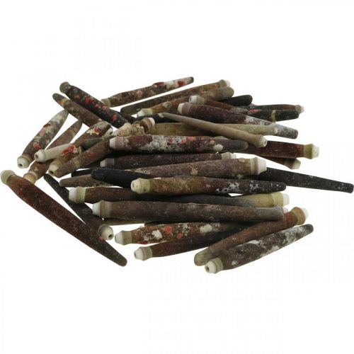 Decorative shells Urchin Spines, sea urchin spines, maritime decoration L3–8cm 450g