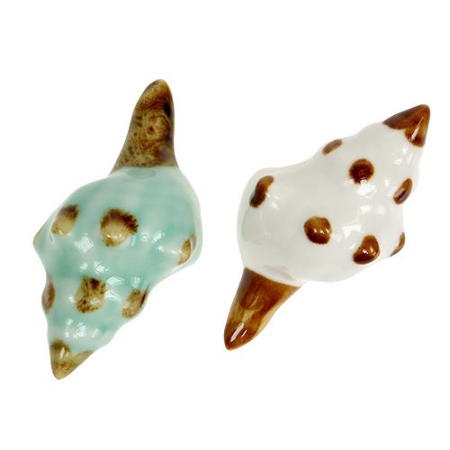 Floristik24 Porcelain shell sort. 9.5cm 2pcs