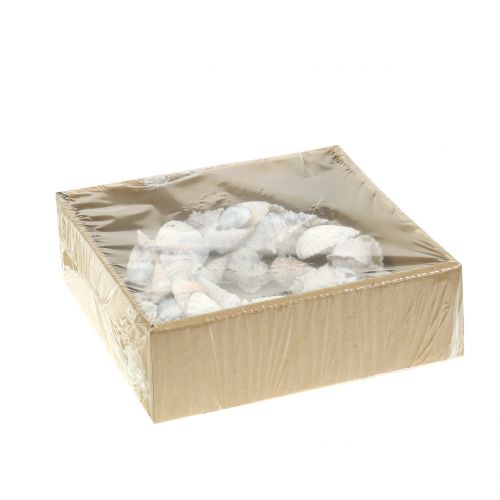 Floristik24 Shell wreath white Ø14cm