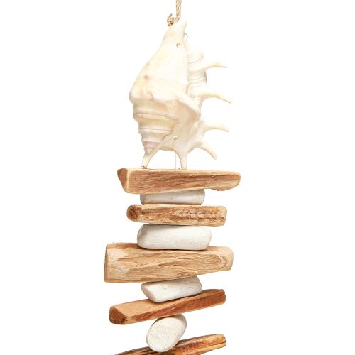 Floristik24 Shell garland sea snails summer decoration natural assorted 69cm 3pcs