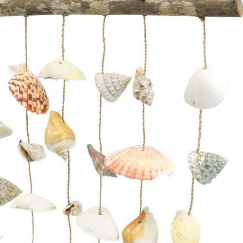 Product Shell necklace wall decoration shells decoration maritime L80cm