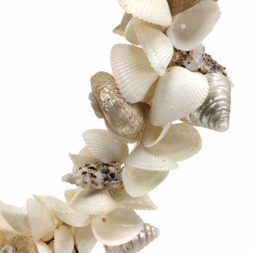 Product Shell wreath natural white Ø40cm