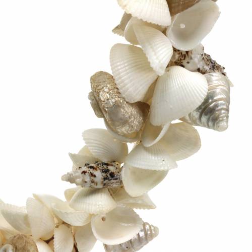 Floristik24 Shell wreath natural white Ø40cm