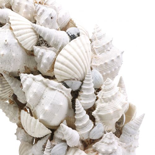Floristik24 Shell wreath white Ø30cm