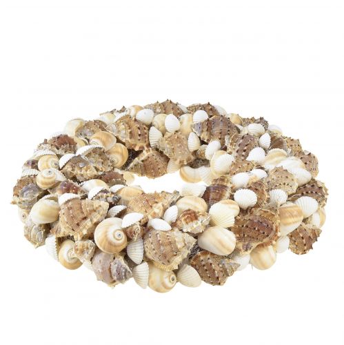 Floristik24 Shell wreath snail wreath for hanging maritime Ø35cm