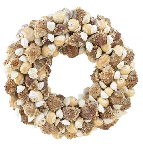 Floristik24 Shell wreath snail wreath for hanging coconut natural Ø25cm