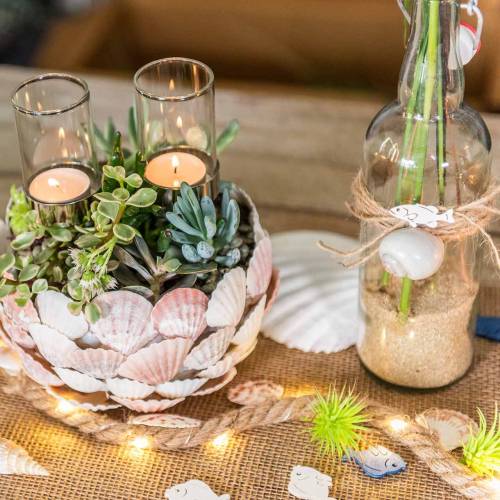 Floristik24 Mussel mix nature 500g